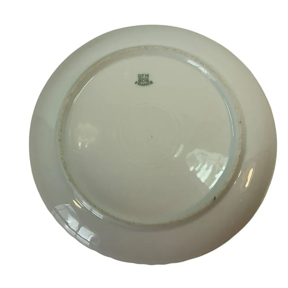 Haviland 1870-1890 Decorative Floral Plates France 7” Set of 2